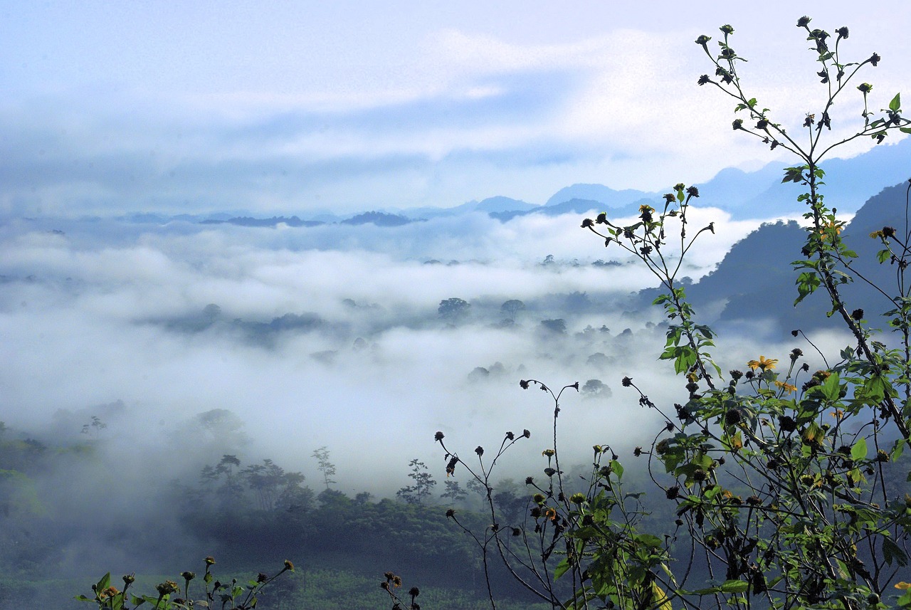 ワキガ対策におすすめのクリームと脇汗パッドの併用方法は？