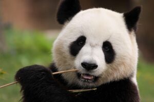 ワキガ対策に夜だけ使うクリームの効果は？