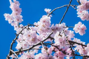 ワキガ対策に最適なクリームは部活での匂いをどう防げる？