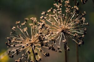 ワキガ対策に効果的なクリームの朝夜の使い方は？