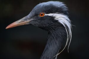 ワキガのクリーム明細には何て書かれるの？