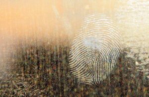 ワキガのクリームによる皮脂汚れの落とし方は？