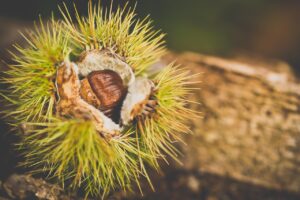 ワキガの悩み解消にはクリームと手術とどっちが先に試すべき？