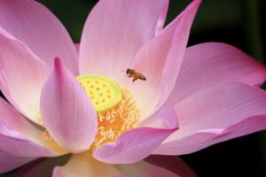 ワキガに最適なクリームを自分に合うものを見つける方法は？