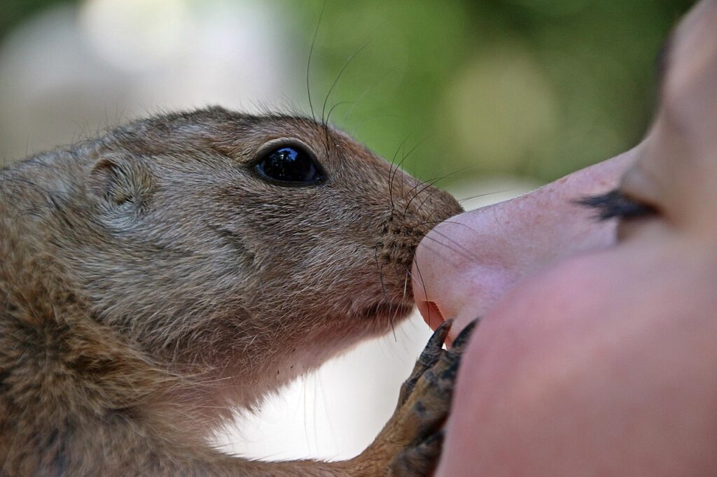 ワキガに無臭クリームは本当に効果があるの？