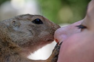 ワキガに無臭クリームは本当に効果があるの？