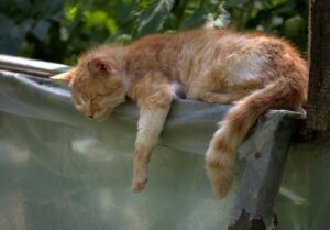 ワキガに無臭クリームは本当に効果的？バレるリスクはどれくらい？