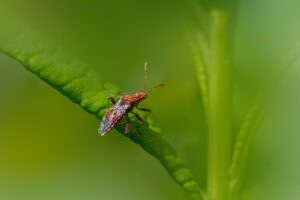 ワキガを無臭にするための失敗しない方法は？
